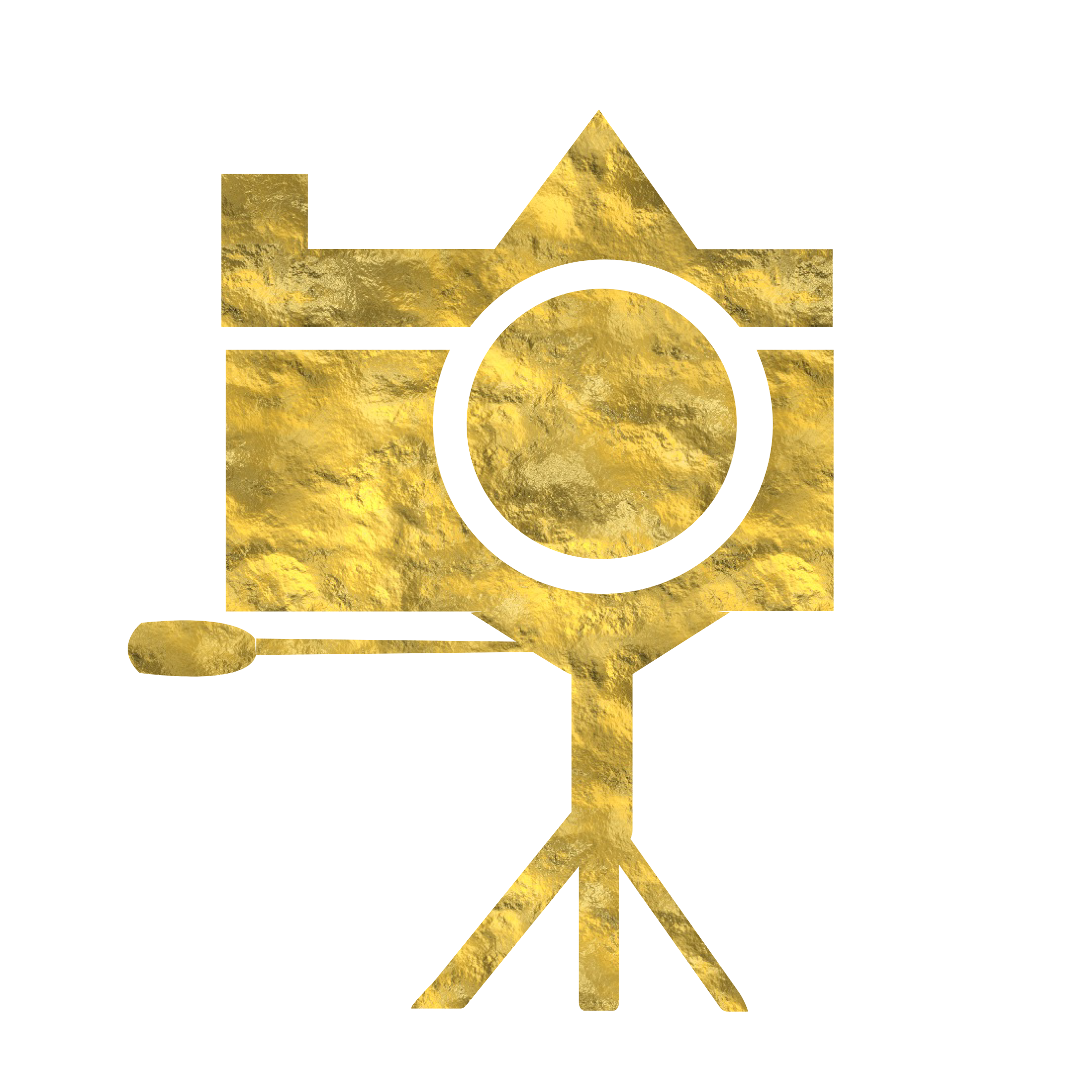 Camera icon golden color