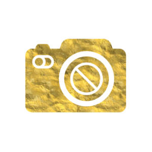 Golden Camera icon png vector