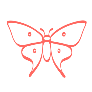 red butterfly vector png