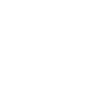 white butterfly vector png