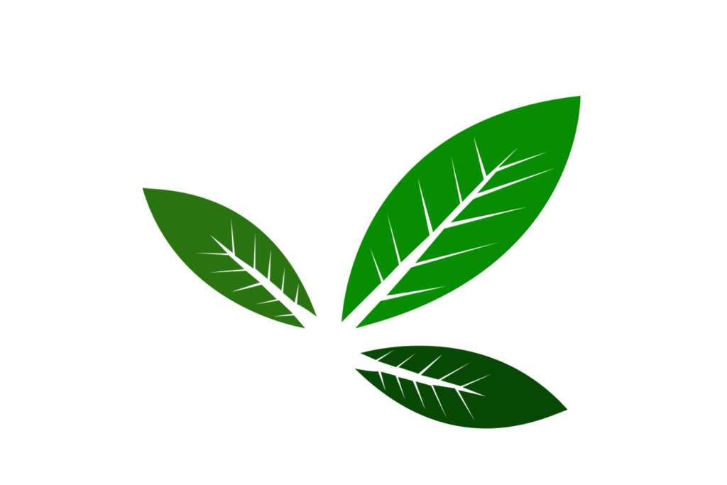 Green Leaves PNG-Vector-transparent background-free download