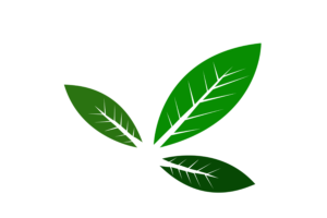 Green Leaves PNG-Vector-transparent background-free download