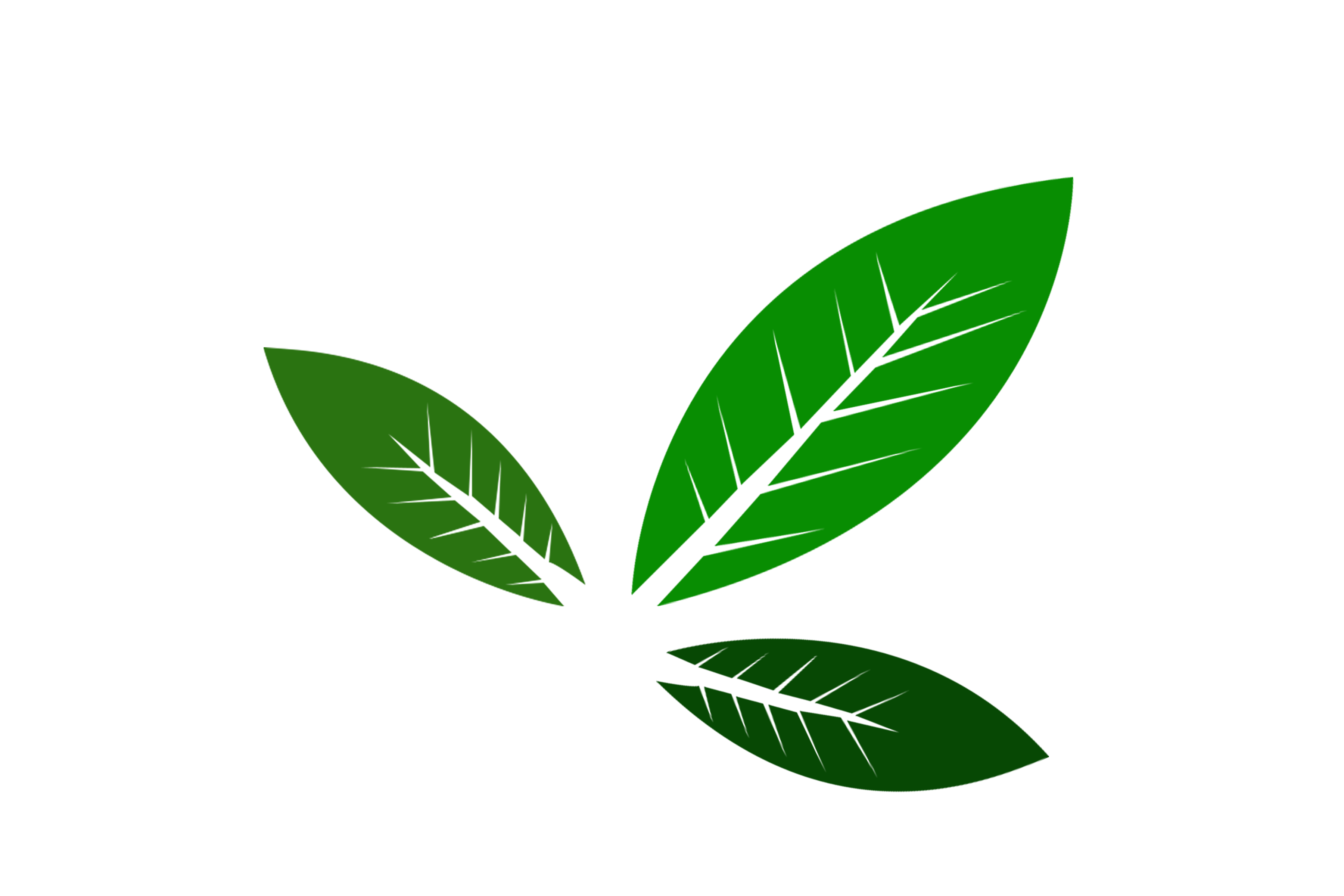 Green Leaves PNG-Vector-transparent background-free download