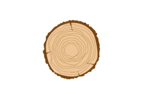 Rings wood vector image PNG free dwonload