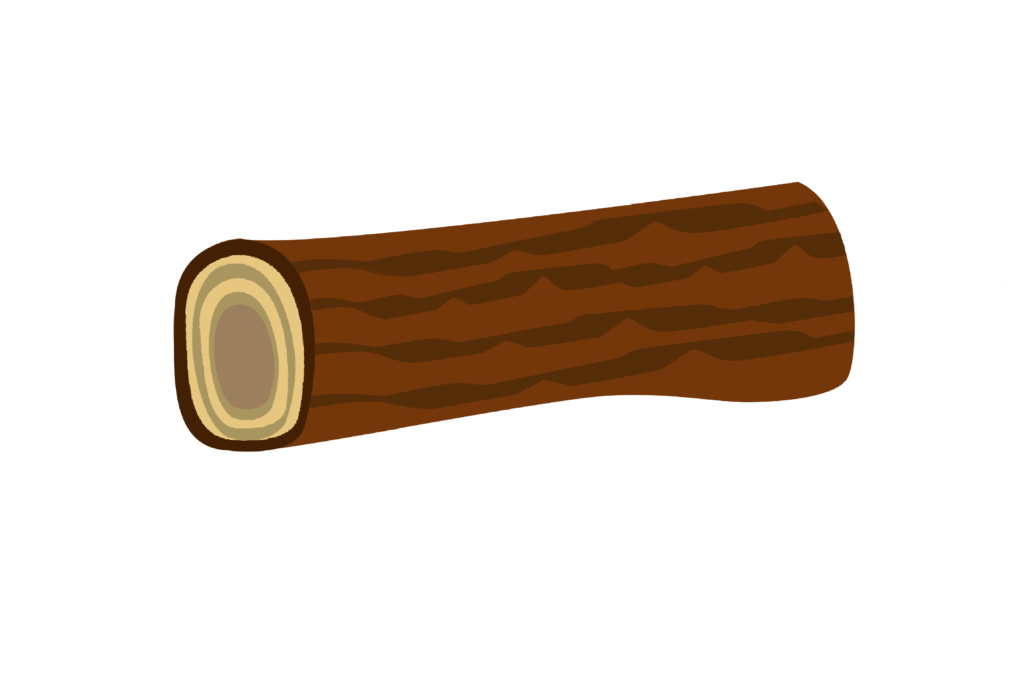 Wood clipart vector PNG free download