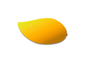 mango-vector-image-transparent background-png free download