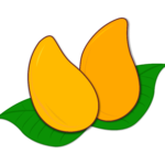 mango with leaf vector png image transparent background png